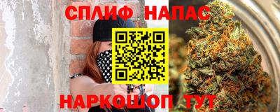 стаф Гусев