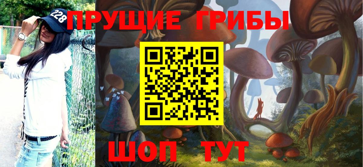 Мценск  Галлюциногенные грибы Psilocybine cubensis  Вход с VPN  Псилоцибиновые грибы MAGIC MUSHROOMS 